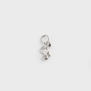 Thumbnail ofRingo Turtle